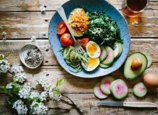 Fit and eat 17