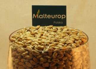 Jak powstaje piwo? Proces warzenia Malteurop Polska słody jasne pilzneński Sklep internetowy